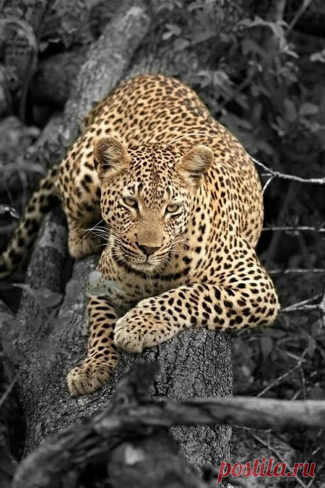 image%2520%282%29.jpg (663×994)