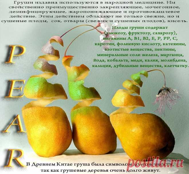 Плейкаст «Груша-символ долговечности»