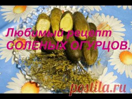 Любимый рецепт СОЛЕНЫХ ОГУРЦОВ.