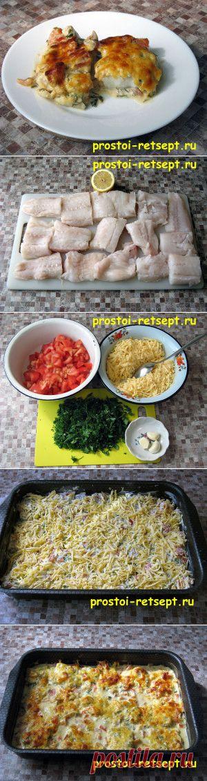 Как приготовить рыбу в духовке по-гречески | ГОТОВИТЬ ПРОСТО!
Нужно:

    Рыба (филе) – около 1 килограмма (у нас треска)
    Помидоры свежие – 4-5 штук небольших или 3 крупных
    Сыр (любой твёрдый ) – 300 граммов
    Чеснок – 3-4 зубчика
    Майонез – около 300-350 граммов (нежирный)
    Лимон – половинка одного лимона
    Зелень (зелёный лук, укроп, петрушка), всего около 100 граммов (можно добавить ещё базилик )
   посолить,смазать форму маслом.
