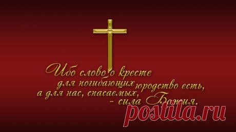 мудрые изречения - Поиск в Google