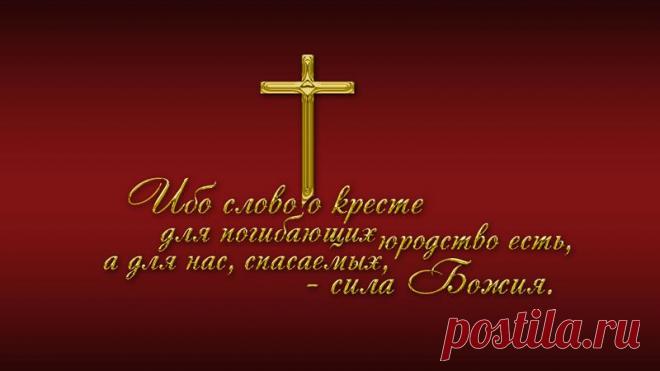 мудрые изречения - Поиск в Google