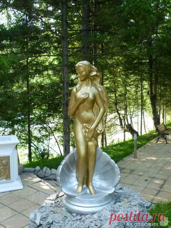 санаторий корона алтая фото: 5 тыс изображений найдено в Яндекс.Картинках