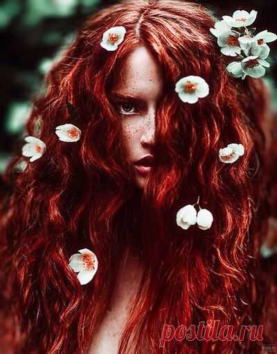 Pinterest