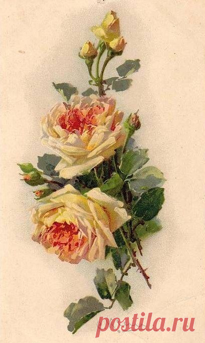 Catherine Klein postcards | Paintings 20