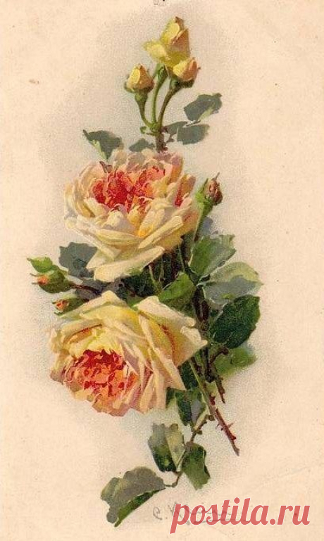 Catherine Klein postcards | Paintings 20