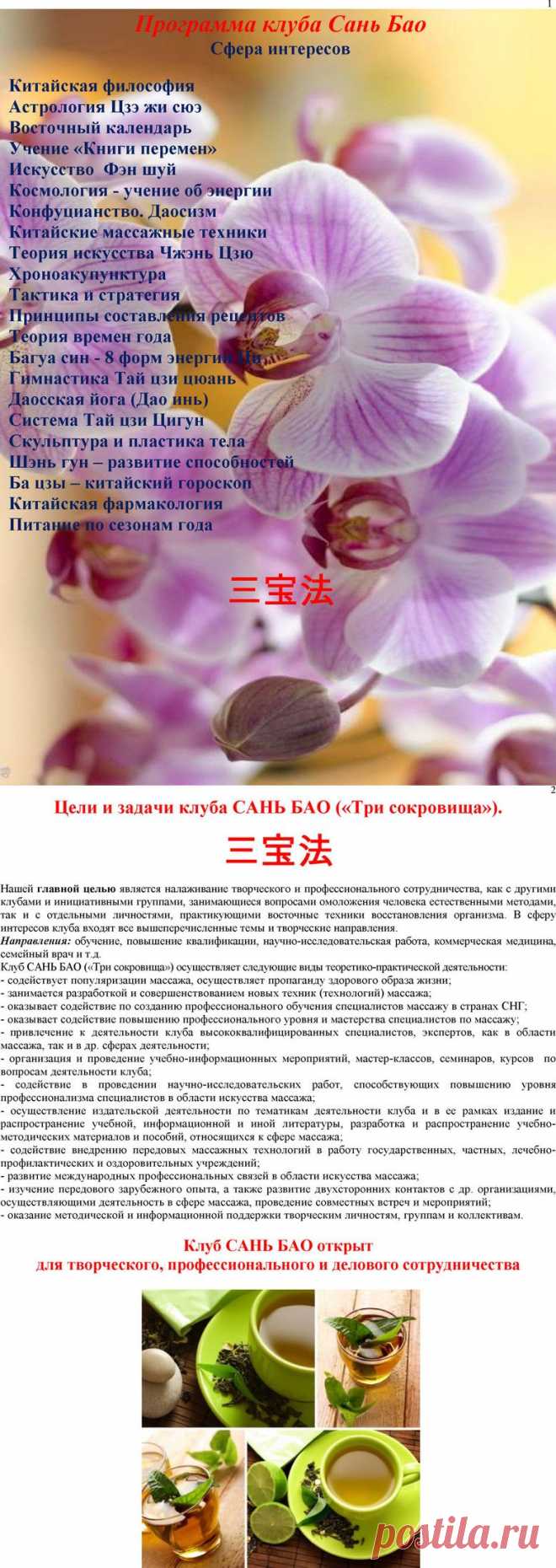 Клуб Сань Бао - Сайт sanbao!