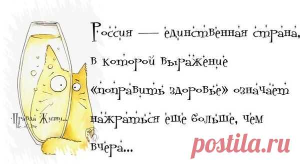 Воскресные картинки // ОПТИМИСТ