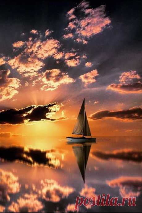 Stunning  |  Pinterest • Всемирный каталог идей