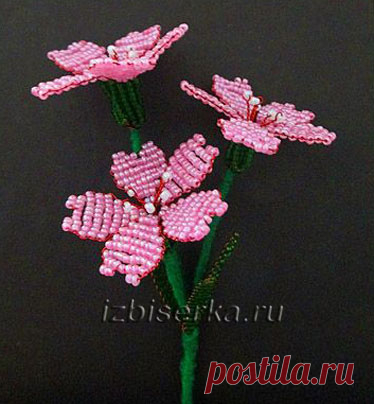 Смолёвка из бисера | Полевые цветы из бисера