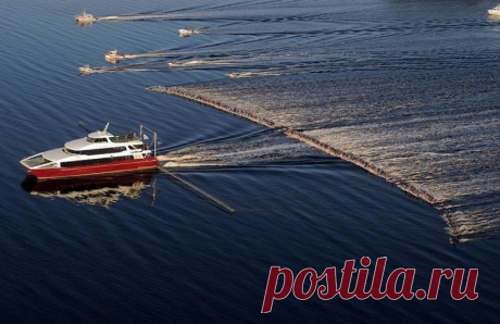 20 обалденных фотографий, в которые трудно поверить