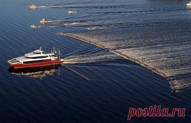 20 обалденных фотографий, в которые трудно поверить