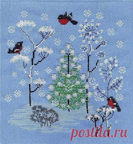 Птицы и зима