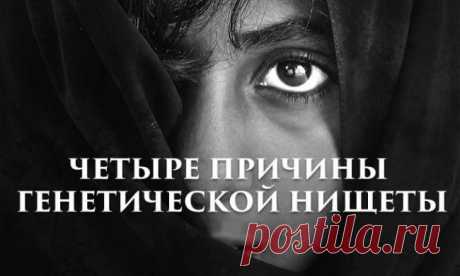 4 причины генетической нищеты | ПолонСил.ру - социальная сеть здоровья