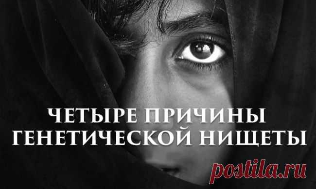 4 причины генетической нищеты | ПолонСил.ру - социальная сеть здоровья