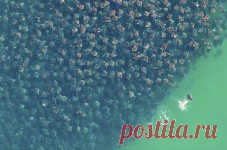 Отделился от толпы