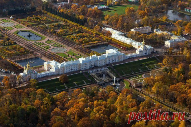 Ермоловская Татьяна
