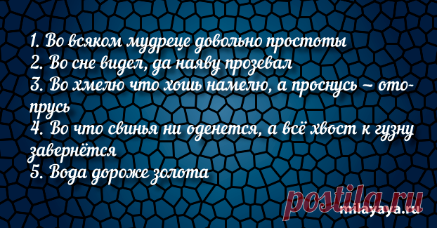 Короткая пословица для женщин в картинках (картинка 95) . Милая Я