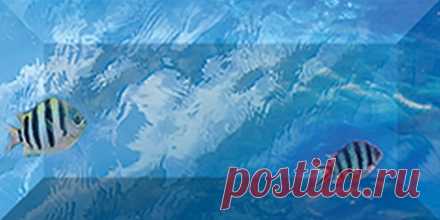 флора и фауна россии – Google Поиск