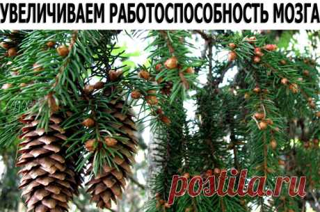 (75) Одноклассники