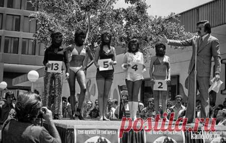 Старые фото (60 фото)