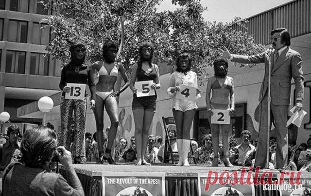 Старые фото (60 фото)