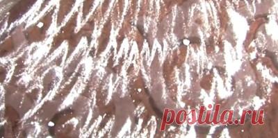 9 хитрых советов, которые помогут тебе убрать любые пятна с любимого ковра. — Копилочка полезных советов