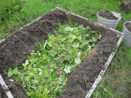 МОЙ "РЕЦЕПТ" ТЕПЛЫХ ГРЯДОК
Сохраните, чтобы не потерять!
Принцип теплой грядки и преимущества
По своей сути теплая грядка – это слой земли на компостной куче. Ее отличие от обычной грядки в том, что грунт на ней быстрее прогревается весной, в результате чего посаженные овощи быстрее растут и плодоносят. Принцип создания теплой грядки в закладке нижнего слоя, состоящего из различных отходов органики, которые в процессе разложения выделяют тепло, необходимое для корневой системы рассады и прорас