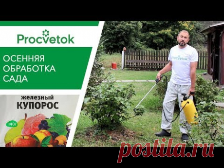 СРОЧНО обработайте сад от болезней и вредителей! Искореняющая обработка сада осенью