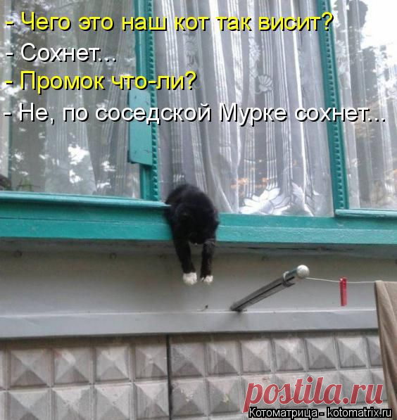 Котоматрица: Круть