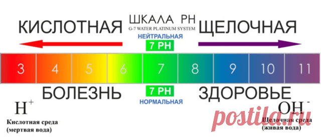 Цвет кала: как диагностировать заболевание по цвету?