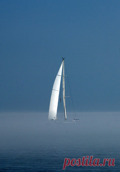 Fog Sailing