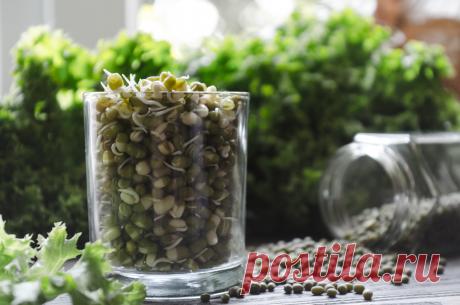 Продукты, которые позволят отсрочить наступление старости | Диеты со всего света