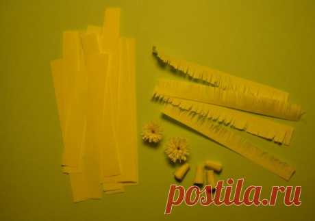 Букет мимозы