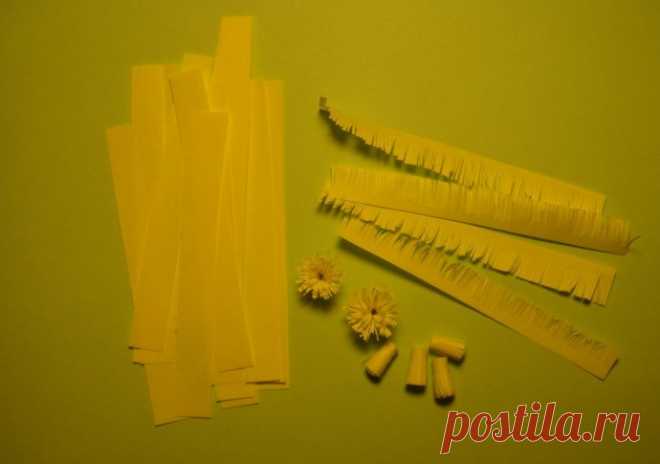 Букет мимозы