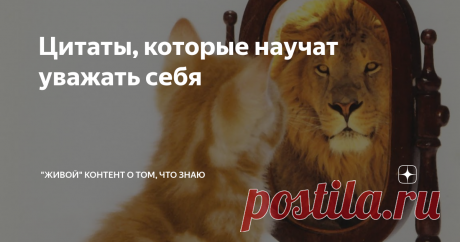 Цитаты, которые научат уважать себя Подборка мудрых и мотивирующих цитат о самоуважении.
