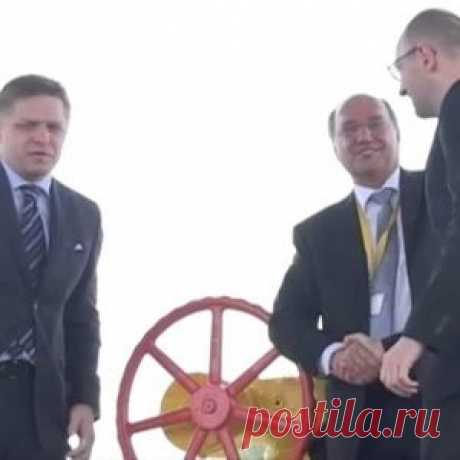 Аюрведа: как укрепить и сохранить память