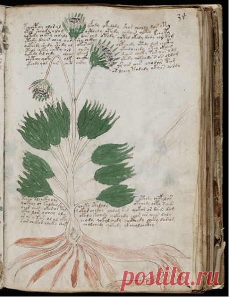 Хранящиеся в музеях по всему миру древние артефакты, предназначение которых не выяснено до сих пор. Делюсь своими идеями #4 | Ломая копья | Яндекс Дзен