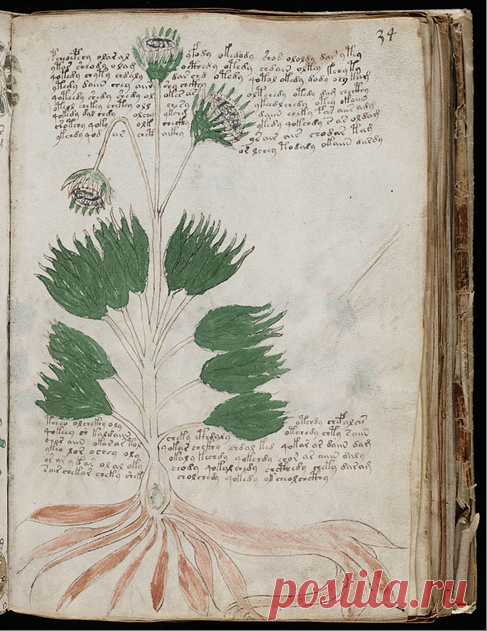 Хранящиеся в музеях по всему миру древние артефакты, предназначение которых не выяснено до сих пор. Делюсь своими идеями #4 | Ломая копья | Яндекс Дзен