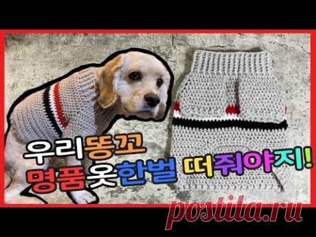 (코바늘)강아지 스웨터 만들기/How to make an easy dog sweater