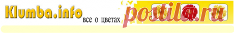 Любите цветы...узнайте о них всё...Большая энциклопедия комнатных цветов и растений.