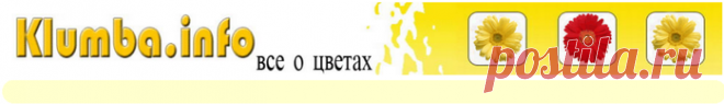 Любите цветы...узнайте о них всё...Большая энциклопедия комнатных цветов и растений.