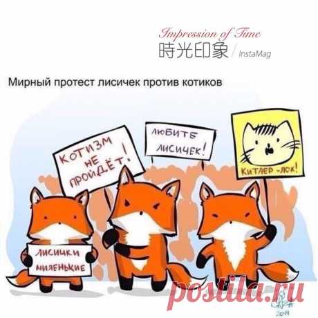 😂😂😂😂 Митинг))))