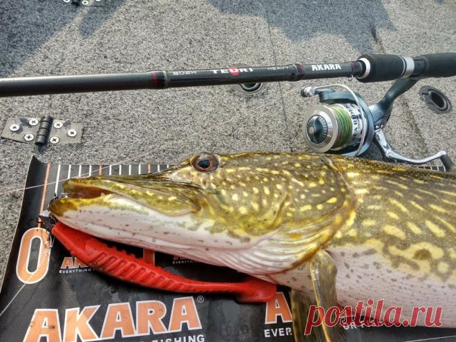 Двойной поводок из флюорокарбона на щуку своими руками