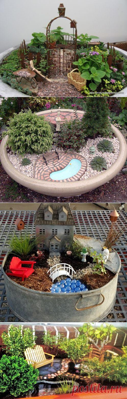 Миниатюрные сады.