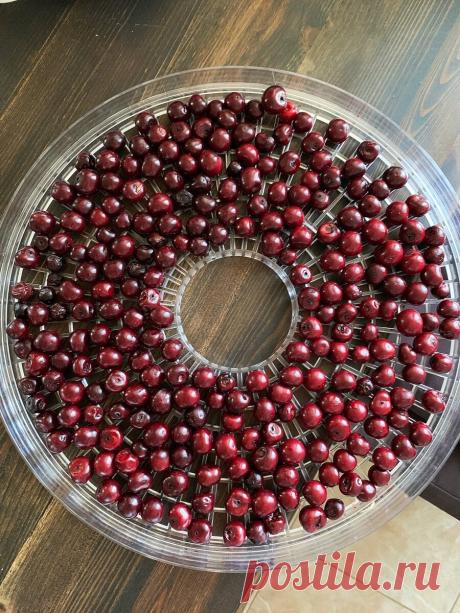 Как я заготавливаю продукты на зиму без консервации и заморозки: моя сушилка | Сладкий Персик 🍑 | Яндекс Дзен