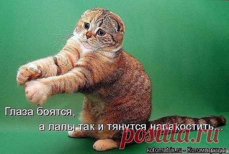 • Лучшие картинки и открытки ► vk.com/fotomimi ◄