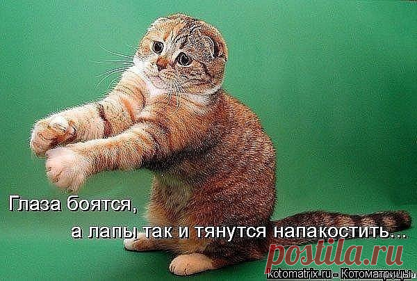 • Лучшие картинки и открытки ► vk.com/fotomimi ◄