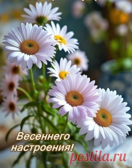 😃 150 Пожеланий Хорошего Настроения в красивых картинках открытках