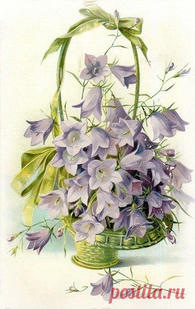 Винтажные открытки.